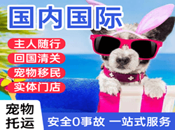 昆明长水空运代理国际宠物托运 【国